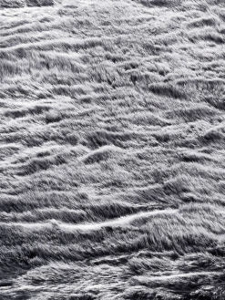 Kunstfell-Teppich, Steingrau -Teppiche Verkaufe Skara Fellteppich grau steingrau lup