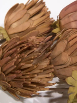 Kunstblume, Orange -Teppiche Verkaufe Softflower Kunstblume Terra Orange 103 lup