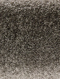 Velours-Teppichboden, Taupe 97 7 Velours-Teppichboden, Taupe 97 -Teppiche Verkaufe Symphonie VeloursTeppichboden Grau Taupe97 hro