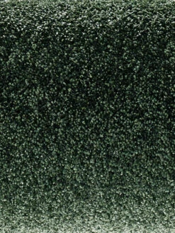 Velours-Teppichboden, Olive 27 -Teppiche Verkaufe Symphonie VeloursTeppichboden Gruen Olive27 hro