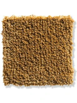 Velours-Teppichboden, Honig 50 -Teppiche Verkaufe Tortosa VeloursTeppichboden Dunkelgelb Honig50 10x10 lup