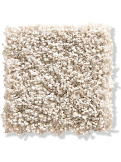 Langflor-Teppichboden, Creme 60 -Teppiche Verkaufe Trepito LangflorTeppichboden Creme Creme60 10x10 lup