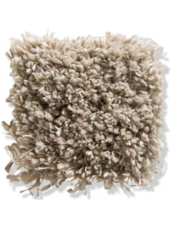 Velours-Teppichboden, Sand 65 -Teppiche Verkaufe VeroBeach VeloursTeppichboden Beige Sand65 10x10 lup