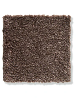 Velours-Teppichboden, Mocca 44 8 Velours-Teppichboden, Mocca 44 -Teppiche Verkaufe Vicenza Veloursteppichboden Dunkelbraun Mocca44 lupB