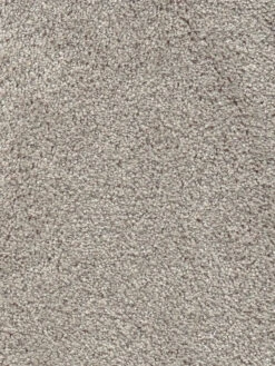 Velours-Teppichboden, Latte Macchiato -Teppiche Verkaufe Vicenza Veloursteppichboden Hellbraun LatteMacchiato49 lup2